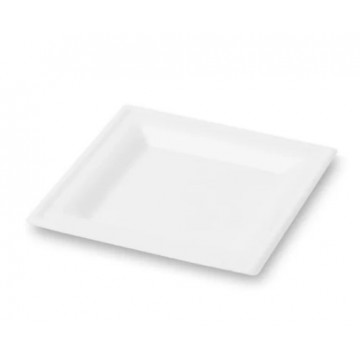 PIATTI QUADRATI IN POLPA...