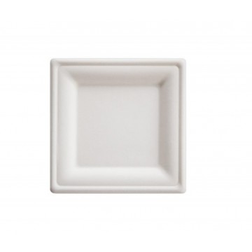 PIATTI QUADRATI IN POLPA...